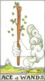 Tarot Meanings - Ace of Wands