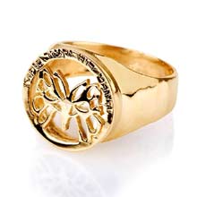 Amulets and Charms - Butterfly Effect ring gold - Click here for more info
