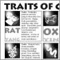 Chinese Star Signs Reference Sheet