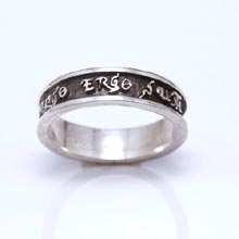 Amulets and Charms - Diligo Ergo Sum ring silver (narrow) - Click here for more info
